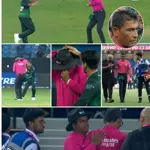 Umpire injured during Pakistan–UAE match