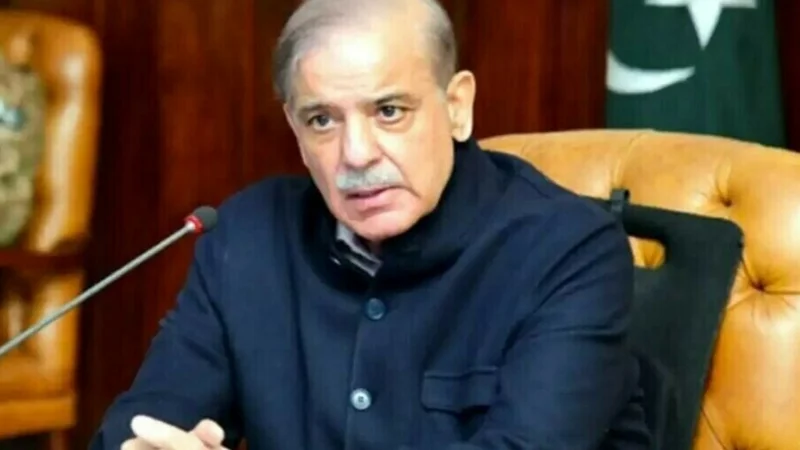 PM Shehbaz message on International Day of Peace: Pakistan stands firm on principles of peace, justice, and human rights