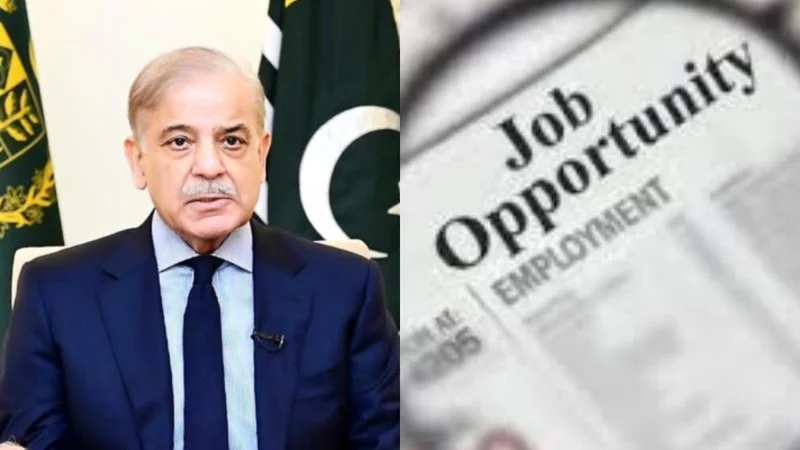 Pakistan introduces employment policy to expand opportunities for Young workers