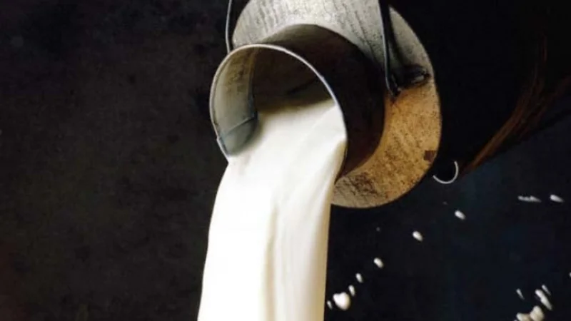 Commissioner Karachi to chair milk price review meeting on Oct 1
