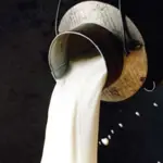 Commissioner Karachi to chair milk price review meeting on Oct 1