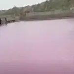 Sea water turns pink at Gadani Jetty