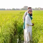 Punjab Announces Rs100 Billion Interest-Free Loan Scheme for Farmers