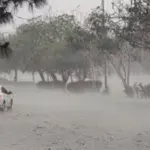 Light to moderate rain forecast for several regions across Pakistan