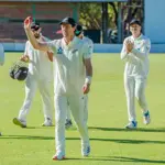 New Zealand whitewash Zimbabwe with massive victory
