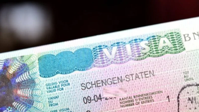 Switzerland work visa: Eligibility, application process explained