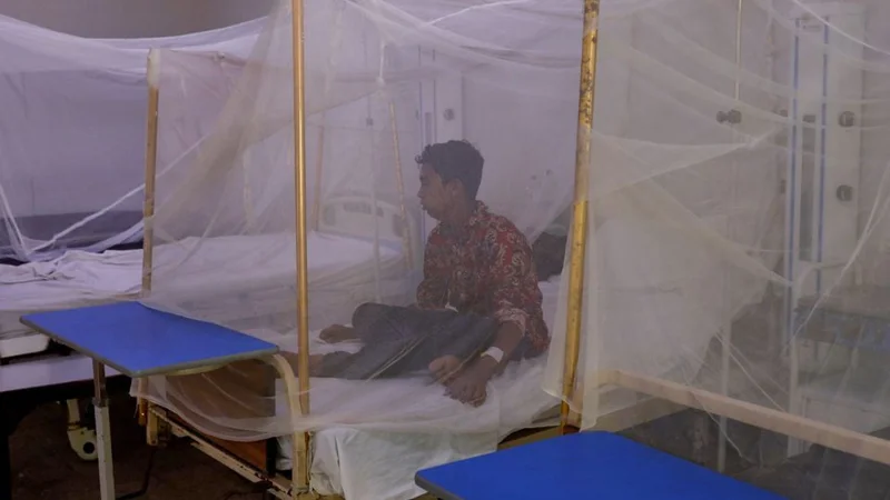 Dengue cases in Rawalpindi