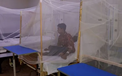 Dengue cases in Rawalpindi rise to 64, Authorities intensify crackdown