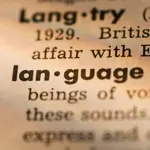 'Tradwife', 'Delulu', and 'Skibidi' join Cambridge dictionary