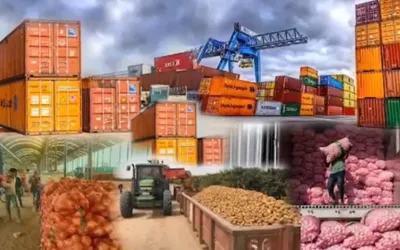 Experts call for policy support, Reforms to boost food exports