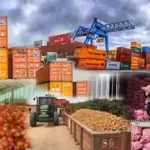 Experts call for policy support, Reforms to boost food exports