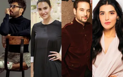 Where Lollywood stars secure their future beyond the Screen: Inside Celebrity investments in Pakistan