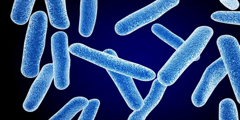 AI used to discover Antibiotic that could fight most dangerous bacteria