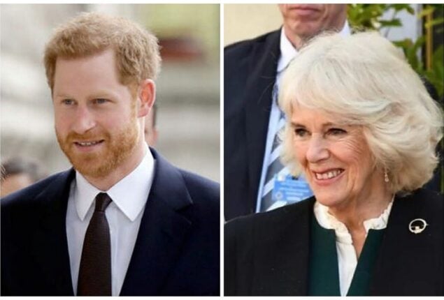 Prince Harry Labelled As Fake Feminist For Disrespecting Camilla 