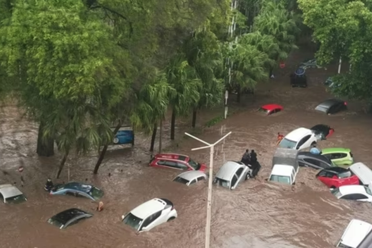 Cyclone Belal causes major damage in Mauritius