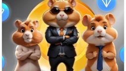 Hamster Kombat Coin Listing: Checkout the Latest Updates!