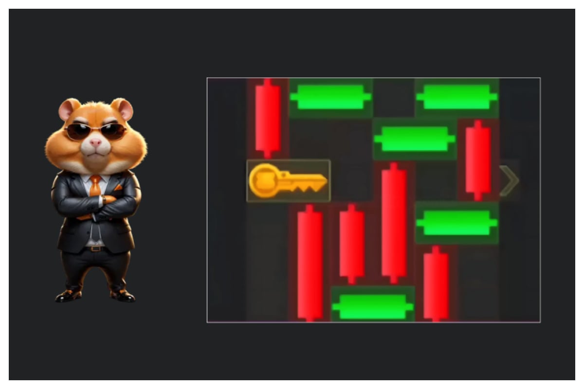 Hamster Kombat Mini Game Solution – August 3, 2024