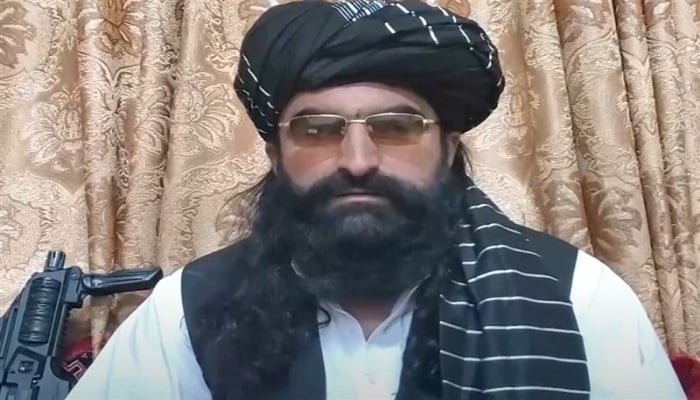 A leaked call of TTP leader Noor Wali unveils plans for terrorist attacks