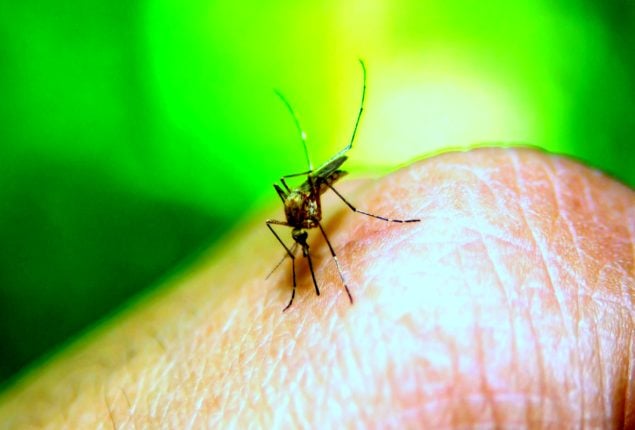 Two dengue cases reported in Rawalpindi 