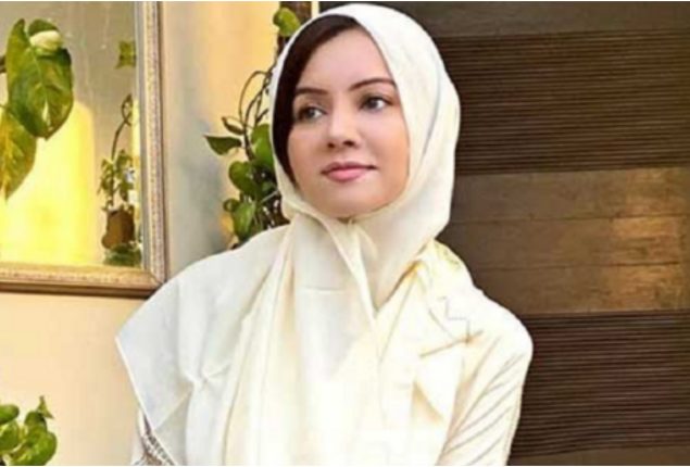 Rabi Pirzada blames certain TV dramas for rising cases of divorce