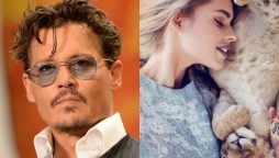 Has Johnny Depp found new love in Spanish influencer Jess Bordiu?