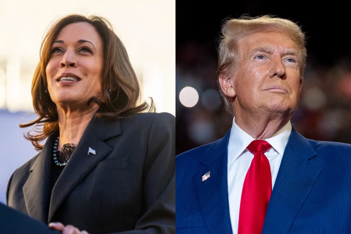 Trump leads with 312 electoral votes, Harris trails at 226 in final tally