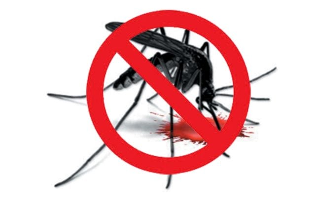 Islamabad gears up for anti-dengue fight before monsoon